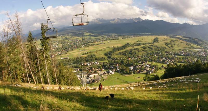 Pokoje U Zoskip Apartman Zakopane Kültér fotó